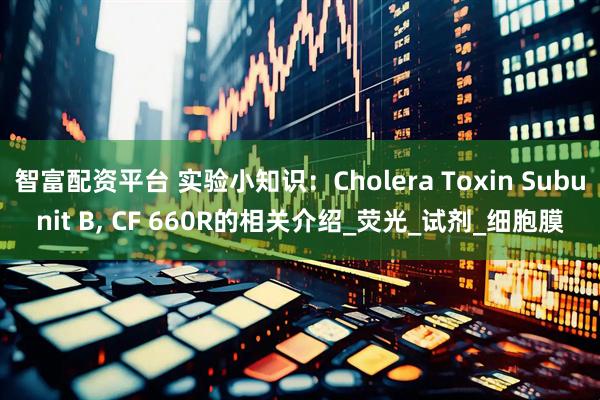 智富配资平台 实验小知识：Cholera Toxin Subunit B, CF 660R的相关介绍_荧光_试剂_细胞膜