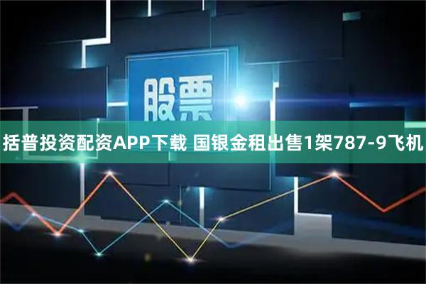 括普投资配资APP下载 国银金租出售1架787-9飞机