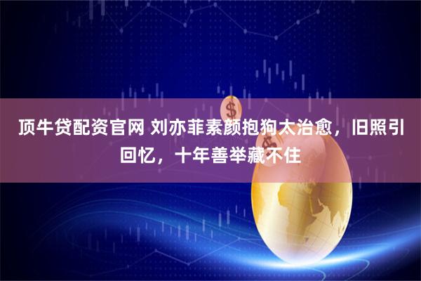 顶牛贷配资官网 刘亦菲素颜抱狗太治愈，旧照引回忆，十年善举藏不住