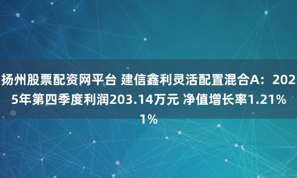 扬州股票配资网平台 建信鑫利灵活配置混合A：2025年第四季度利润203.14万元 净值增长率1.21%