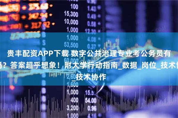 贵丰配资APP下载 数字公共治理专业考公务员有戏吗？答案超乎想象！附大学行动指南_数据_岗位_技术协作